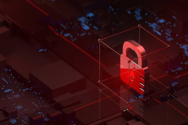 信创浪潮下的协同进阶:循化软件开发公司助力ERP与多系统信创适配